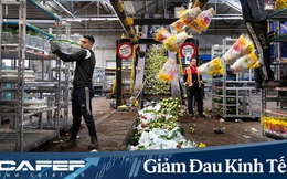 Buộc phải tiêu huỷ 140 triệu bông hoa tulip do Covid-19, từ nông dân cho đến ông chủ công ty sản xuất hoa lớn nhất Hà Lan đều đứng nhìn với sự bất lực