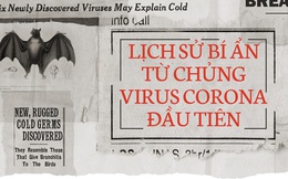 Lịch sử bí ẩn của họ virus corona: Từ cơn cảm lạnh thông thường đến những đại dịch toàn cầu