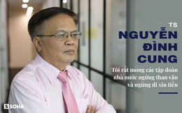 TS Nguyễn Đình Cung: “Tôi rất mong các tập đoàn nhà nước ngừng than vãn và ngừng đi xin tiền”