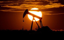 Giá dầu lại lao dốc xuống gần 10 USD/thùng