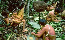 Bộ lạc kỳ dị ở Nam Mỹ: Cuộc sống khép kín và hủ tục mai táng bằng cách ăn tro cốt của người chết