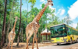 Vingroup đề xuất làm khu sinh thái Vinpearl Safari hơn 1.100ha ở Quảng Ninh