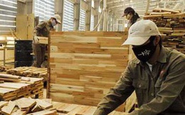 Nhiều doanh nghiệp gỗ phải rao bán nhà máy vì Covid-19