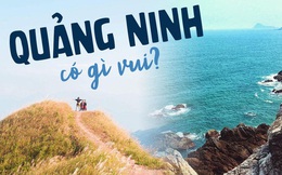 Ngoài các điểm tham quan miễn phí, Quảng Ninh còn vô vàn địa danh tuyệt đẹp không đi thì cực phí: Muốn biển có biển, muốn núi có núi!