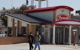 Gia tộc tỷ phú đứng sau Tyson Foods - một trong ba đế chế sản xuất thịt lớn nhất thế giới