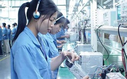 Dự thảo Luật Lao động Việt Nam đi làm ở nước ngoài: Nhiều quy định nặng 'xin - cho'