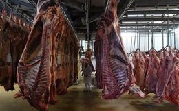 Phát hiện hàng trăm ca nhiễm COVID-19 tại các cơ sở chế biến thịt ở châu Âu