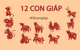 Tử vi tài lộc tháng 4 Nhuận của 12 con giáp: Thân phát tài rực rỡ nhờ quý nhân chỉ dẫn, Tỵ đếm tiền mỏi tay, Sửu bốc đồng dễ tự chuốc rắc rối