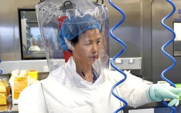 Báo Nhật: "Nữ người dơi" tại Viện Virus học Vũ Hán từng cảnh báo về Covid-19 từ 2015