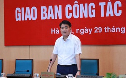 Chủ tịch Hà Nội: Cắt tỉa tất cả cây xanh trong các trường học