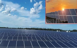 Giá điện mặt trời giảm 24%, doanh nghiệp lo phá sản, Bộ Công Thương nói gì?