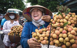 Giải cứu nông sản Việt thời 4.0: Vải thiều Lục Ngạn lên MoMo, giá chỉ 19.600 đồng/kg, sau 8 tiếng ‘giải cứu’ được 8 tấn, có khách mua tới 90kg