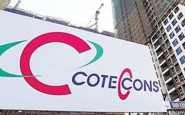Ban kiểm soát Coteccons đồng ý với nhận định HĐQT và ban điều hành đã vi phạm nghiêm trọng Điều lệ và Luật doanh nghiệp