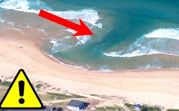 Cảnh báo về mối nguy hiểm mới xuất hiện ở các bãi biển Việt Nam có thể gây hại đến tính mạng của du khách mùa hè này: Không thể coi nhẹ!
