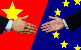 Báo Trung Quốc: EVFTA có lợi cho Việt Nam, không có hại cho Trung Quốc