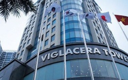 Gelex chờ đợi gì ở Viglacera?