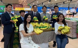 Lần đầu tiên trái chuối Việt được bán ở siêu thị Hàn Quốc