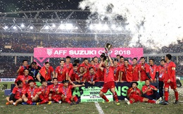 Việt Nam không tổ chức AFF Cup 2020