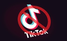 Dù đang là ứng dụng "must-have" của giới trẻ toàn cầu, TikTok lại vừa bị cấm tại Ấn Độ