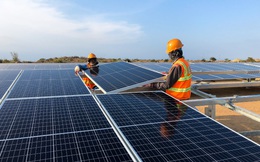 T&T Group của Bầu Hiển khánh thành Nhà máy điện mặt trời 1.000 tỷ đồng tại Ninh Thuận