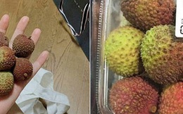 Dân mạng Việt khoe những trái vải bán trong siêu thị Nhật, 120k được mỗi 7 quả mà vẫn 'cháy hàng'