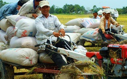 "Lái máy cày cũng phải có bằng"