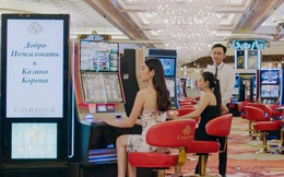 Casino Việt thu được bao nhiêu trong thời dịch COVID-19