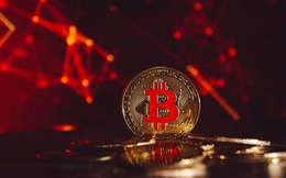 Bitcoin giảm ‘sốc’