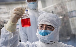 Bất ngờ thông tin Trung Quốc có vaccine sử dụng khẩn cấp trong vài tháng tới
