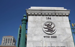 Trung Quốc và Mỹ ráo riết chạy đua gây ảnh hưởng trong cuộc đua vào vị trí Tổng giám đốc WTO