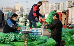 Mưa lũ ở Trung Quốc làm tồi tệ thêm cuộc khủng hoảng giá thực phẩm sau cú sốc Covid-19