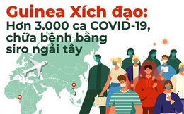 Guinea Xích đạo: Hơn 3.000 ca COVID-19, chữa bệnh bằng siro ngải tây