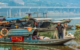 TQ cấm đánh bắt cá 10 năm trên sông Dương Tử: 30 vạn lao động mất việc và câu trả lời của chính quyền