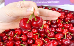 Từ đắt đỏ xuống bình dân, cherry Mỹ hàng Vip đang giảm giá "sập sàn" còn 299.000 đồng/kg