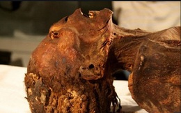 Vén màn bí ẩn xác ướp "công chúa gào thét" trong mộ cổ Ai Cập 3000 năm tuổi