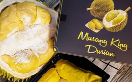 Tất tần tật thông tin về loại sầu riêng ngon nhất thế giới bán tại Việt Nam với giá 1,6 triệu/kg, dù đắt vẫn được giới sành ăn "đổ mua"