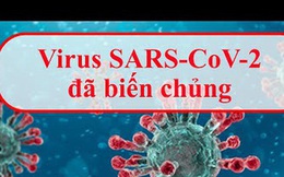 BS Nguyễn Hồng Hà: Biến chủng Sars-CoV-2 ở Đà Nẵng tăng bám dính vào cơ thể, có bất thường không?