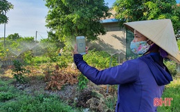 Nông dân Hà Tĩnh tưới cây... bằng smartphone!