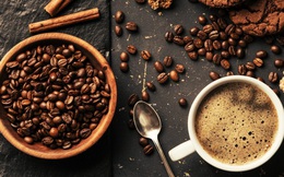 Hành trình của hạt cà phê từ vườn trồng đến tách cà phê thơm lừng mỗi sáng