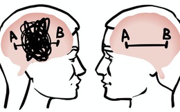 Rốt cuộc não bộ nam giới và phụ nữ có gì khác nhau, và tại sao lại có sự khác biệt đó?