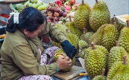 Từ sầu riêng tới kim cương: những vật liệu không tưởng có thể thay thế công nghệ pin li-ion