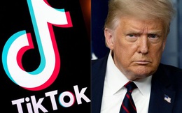 CEO ByteDance: Mục tiêu thực sự của ông Trump là ‘giết’ TikTok