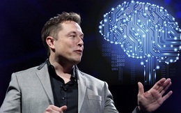 Sợ bị AI vượt mặt, Elon Musk muốn dùng Neuralink để nâng cấp khả năng con người