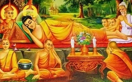 Bị thương đến mức hôn mê, Đức Phật sau khi tỉnh dậy đã nói ra căn nguyên, thức tỉnh tất cả mọi người