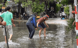 Clip: Người Đà Nẵng thích thú mang rổ ra đường phố bắt cá sau bão số 5