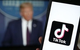 TikTok khiếu nại lệnh cấm của Mỹ lên Tòa án liên bang Washington