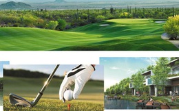 Vingroup rút khỏi dự án sân golf, khu nghỉ dưỡng cao cấp ở Quảng Ninh