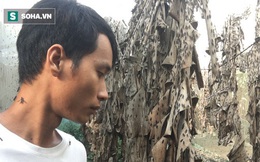 Bỏ nghề kỹ sư, chàng trai đi nuôi ruồi trong rừng: "Tôi được làm việc mình thích, kiếm được tiền"