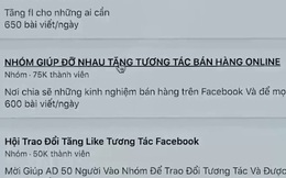 "Muôn hình vạn trạng" đánh giá giả trên các trang thương mại điện tử