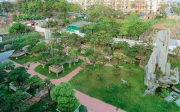 Cận cảnh khu vườn tiền tỷ của tay chơi cây cảnh nức tiếng Hà thành
